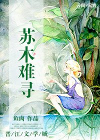 《苏木难寻》