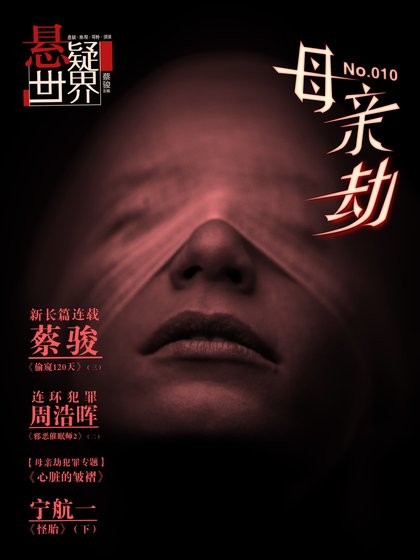 《NO.010悬疑世界·母亲劫》