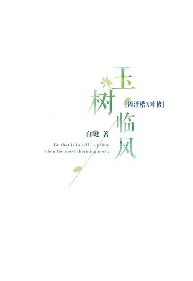 (全職高手同人)玉樹臨風