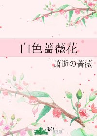 白色蔷薇花