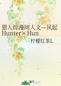 猎人综漫同人文—风起Hunter×Hunter