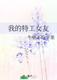 我的特工女友