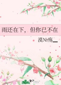 《雨還在下,但你已不在》