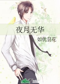 《夜月无华》