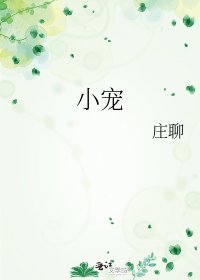 小宠
