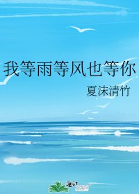 《我等雨等风也等你》