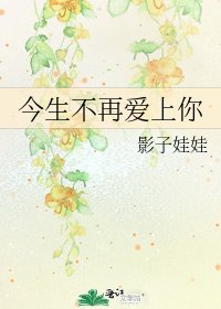 今生不再愛上你