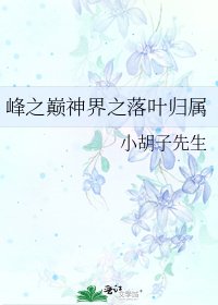 《峰之巅神界之落叶归属》