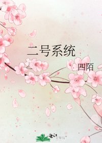 《二號系統》
