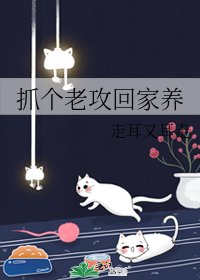 《抓个老攻回家养》