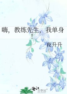 《嗨,教练先生,我单身!》