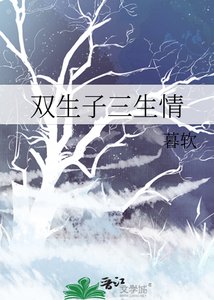 《雙生子三生情》