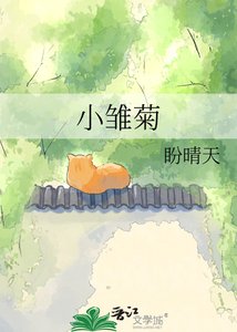 小雏菊