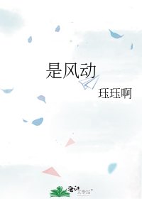 《是风动》