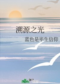 《溯源之光》